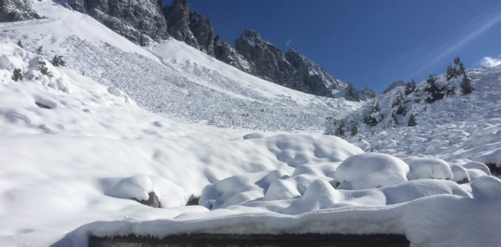 Winterschlaf