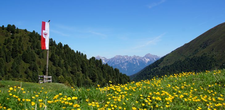 Wir haben geöffnet!